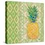 Fruit Ikat I-Paul Brent-Stretched Canvas