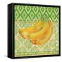 Fruit Ikat III-Paul Brent-Framed Stretched Canvas