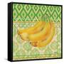 Fruit Ikat III-Paul Brent-Framed Stretched Canvas