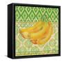 Fruit Ikat III-Paul Brent-Framed Stretched Canvas