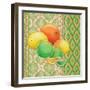 Fruit Ikat IV-Paul Brent-Framed Art Print