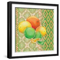 Fruit Ikat IV-Paul Brent-Framed Art Print