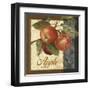 Fruit Illustration I-Abby White-Framed Art Print