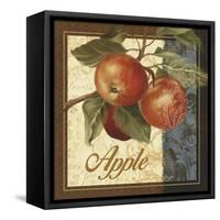 Fruit Illustration I-Abby White-Framed Stretched Canvas