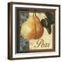 Fruit Illustration III-Abby White-Framed Art Print