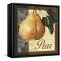 Fruit Illustration III-Abby White-Framed Stretched Canvas