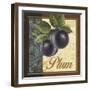 Fruit Illustration IV-Abby White-Framed Art Print