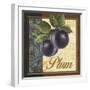 Fruit Illustration IV-Abby White-Framed Art Print