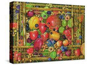 Fruit in Bamboo Box, 1999-E.B. Watts-Stretched Canvas