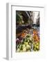 Fruit, Including Local Lemons and Oranges, Displayed Outside a Shop in a Narrow Street-Eleanor Scriven-Framed Photographic Print