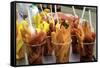 Fruit Is a Handy Dish for Sale in the Old City, Cartagena, Colombia-Jerry Ginsberg-Framed Stretched Canvas