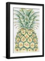 Fruit IV-Eva Watts-Framed Art Print