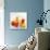 Fruit Juices-David Munns-Stretched Canvas displayed on a wall