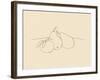 Fruit Line Drawing lV-Victoria Barnes-Framed Art Print