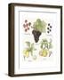 Fruit Medley II-Naomi McCavitt-Framed Art Print