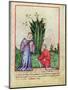 Fruit of Mandrake, From Tacuinum Sanitatis, c.1390-1400-null-Mounted Giclee Print