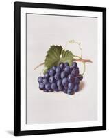 Fruit of the Vine, 1868-Augusta Innes Withers-Framed Giclee Print