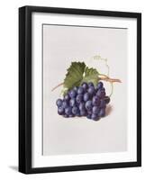 Fruit of the Vine, 1868-Augusta Innes Withers-Framed Giclee Print