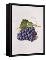 Fruit of the Vine, 1868-Augusta Innes Withers-Framed Stretched Canvas