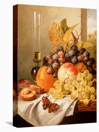 Fruit on a Draped Ledge with a Red Admiral-Edward Ladell-Stretched Canvas