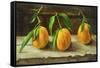 fruit on a shelf-Cristiana Angelini-Framed Stretched Canvas