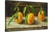 fruit on a shelf-Cristiana Angelini-Stretched Canvas