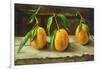 fruit on a shelf-Cristiana Angelini-Framed Giclee Print