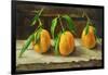 fruit on a shelf-Cristiana Angelini-Framed Giclee Print