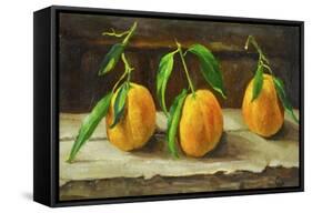 fruit on a shelf-Cristiana Angelini-Framed Stretched Canvas