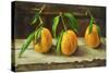 fruit on a shelf-Cristiana Angelini-Stretched Canvas