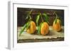 fruit on a shelf-Cristiana Angelini-Framed Premium Giclee Print