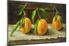 fruit on a shelf-Cristiana Angelini-Mounted Premium Giclee Print