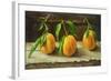 fruit on a shelf-Cristiana Angelini-Framed Giclee Print