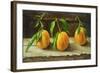 fruit on a shelf-Cristiana Angelini-Framed Giclee Print