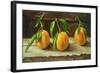 fruit on a shelf-Cristiana Angelini-Framed Giclee Print