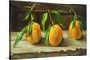 fruit on a shelf-Cristiana Angelini-Stretched Canvas