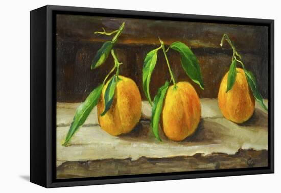 fruit on a shelf-Cristiana Angelini-Framed Stretched Canvas