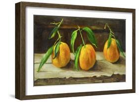 fruit on a shelf-Cristiana Angelini-Framed Giclee Print