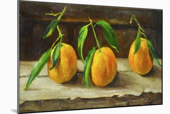 fruit on a shelf-Cristiana Angelini-Mounted Giclee Print