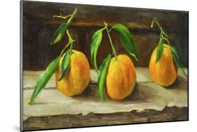 fruit on a shelf-Cristiana Angelini-Mounted Giclee Print