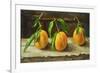fruit on a shelf-Cristiana Angelini-Framed Giclee Print