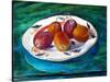 Fruit on a Staffordshire Dish, 2013-Cristiana Angelini-Stretched Canvas