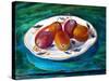 Fruit on a Staffordshire Dish, 2013-Cristiana Angelini-Stretched Canvas