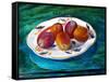 Fruit on a Staffordshire Dish, 2013-Cristiana Angelini-Framed Stretched Canvas