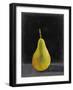 Fruit on Shelf IV-Naomi McCavitt-Framed Art Print