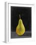 Fruit on Shelf IV-Naomi McCavitt-Framed Art Print