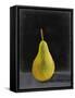 Fruit on Shelf IV-Naomi McCavitt-Framed Stretched Canvas