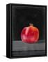 Fruit on Shelf V-Naomi McCavitt-Framed Stretched Canvas