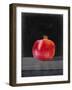 Fruit on Shelf V-Naomi McCavitt-Framed Art Print