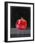 Fruit on Shelf V-Naomi McCavitt-Framed Art Print